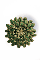 EG52 Jungle Green Pompom Mum - Chive US Wholesale