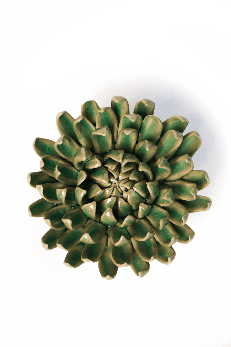 EG52 Jungle Green Pompom Mum - Chive US Wholesale