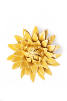 EG53 Burnt Yellow Strawflower - Chive US Wholesale