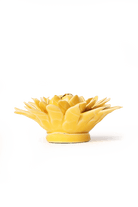 EG53 Burnt Yellow Strawflower - Chive US Wholesale