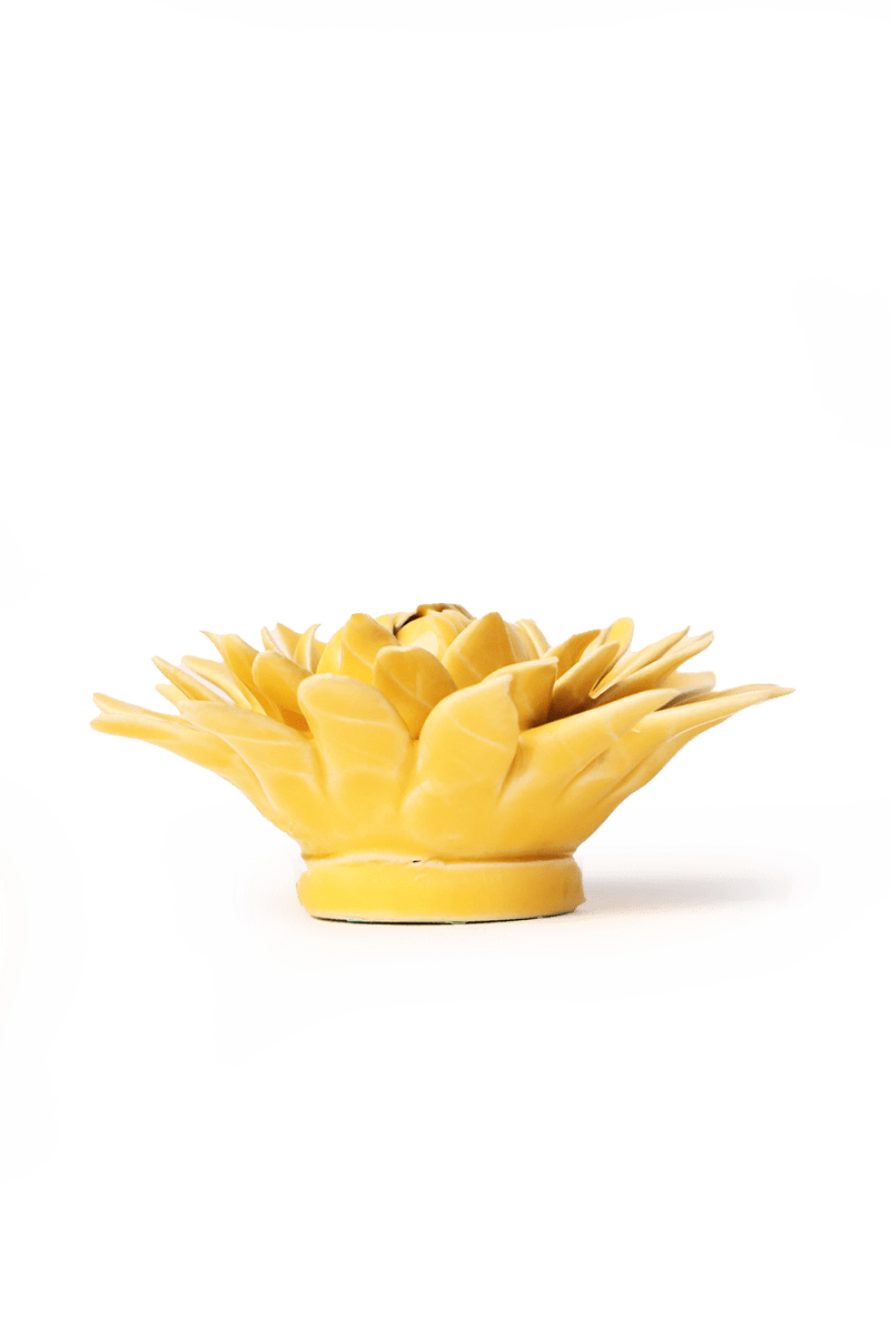 EG53 Burnt Yellow Strawflower - Chive US Wholesale