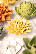 EG53 Burnt Yellow Strawflower - Chive US Wholesale