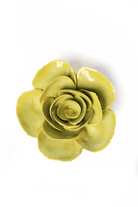 EG54 Chartreuse Elegance Ranunculus - Chive US Wholesale