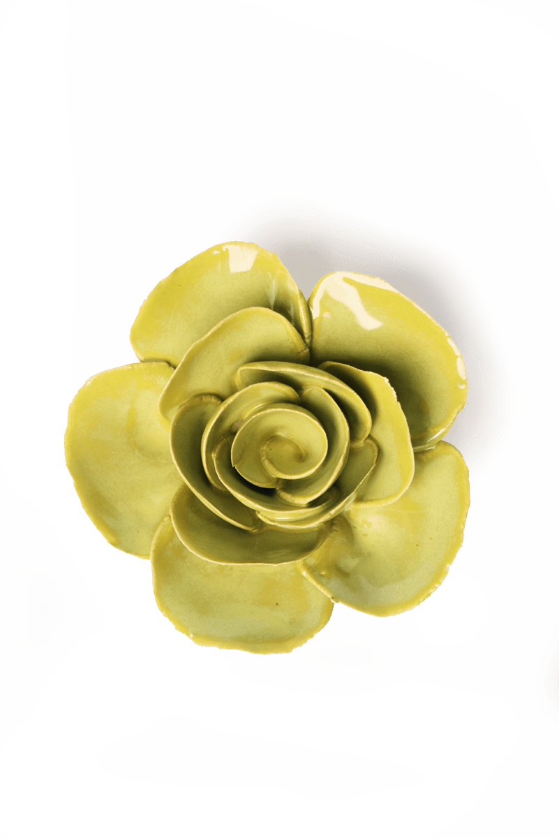 EG54 Chartreuse Elegance Ranunculus - Chive US Wholesale