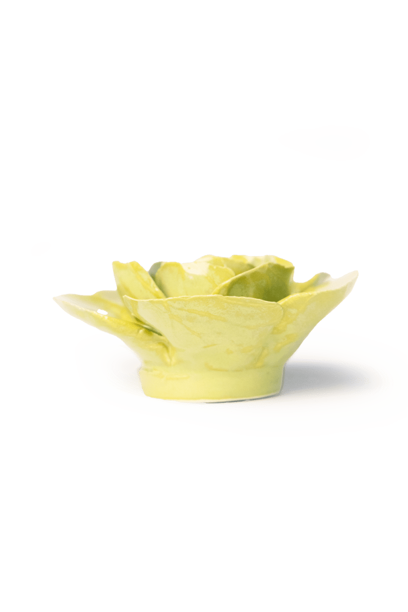 EG54 Chartreuse Elegance Ranunculus - Chive US Wholesale