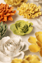 EG54 Chartreuse Elegance Ranunculus - Chive US Wholesale