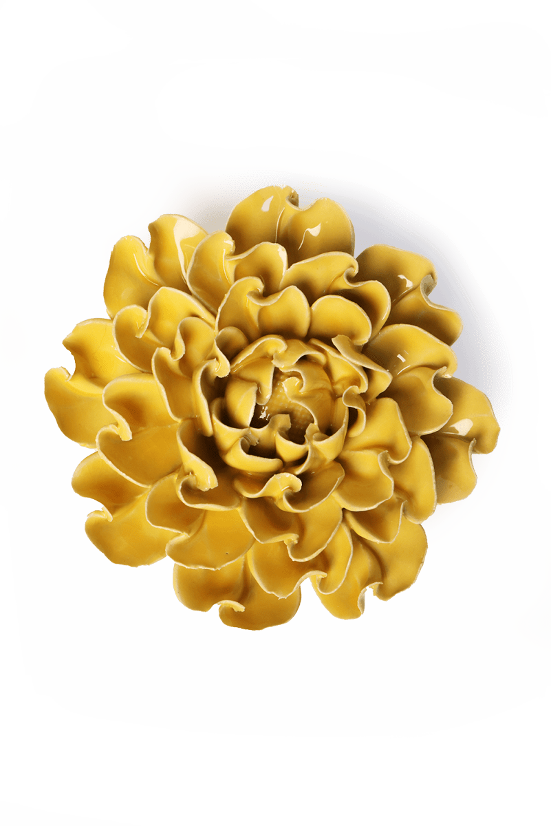 EG55 Buttercup Yellow Hawthorn - Chive US Wholesale