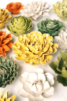 EG55 Buttercup Yellow Hawthorn - Chive US Wholesale