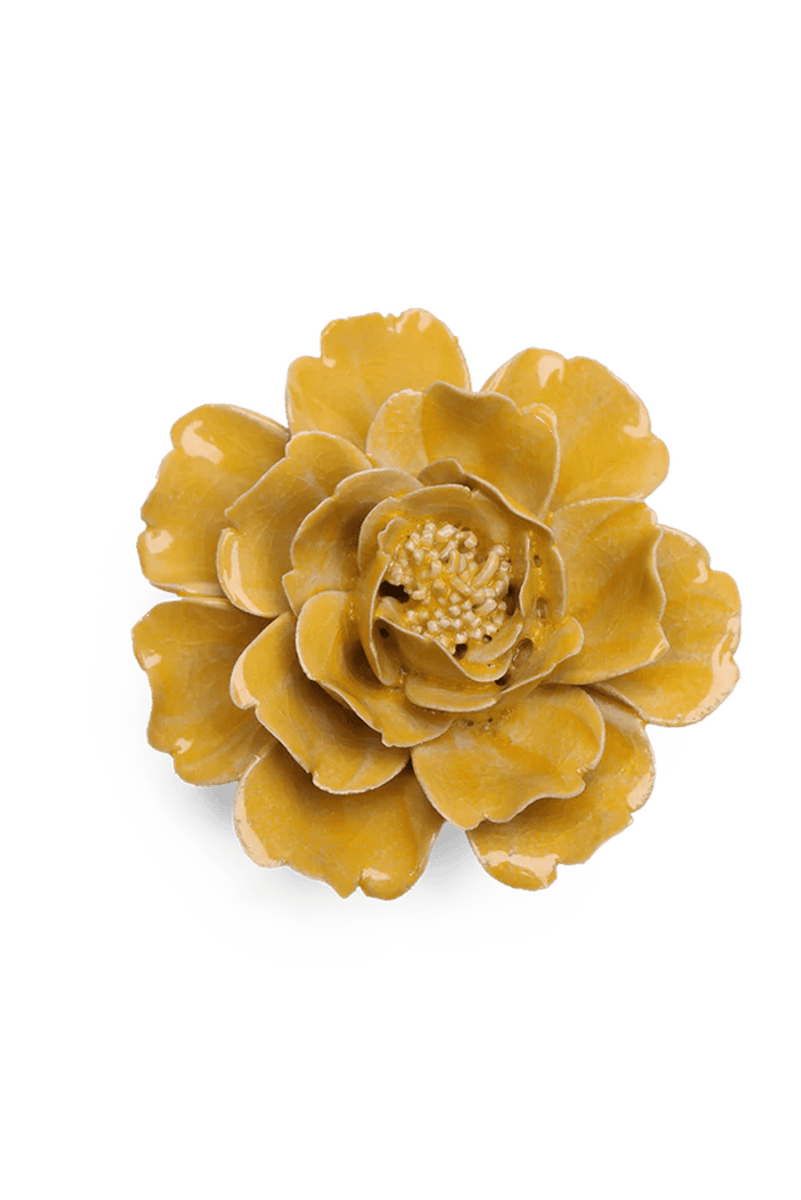June Birth Flower - Rose - Chive US Wholesale