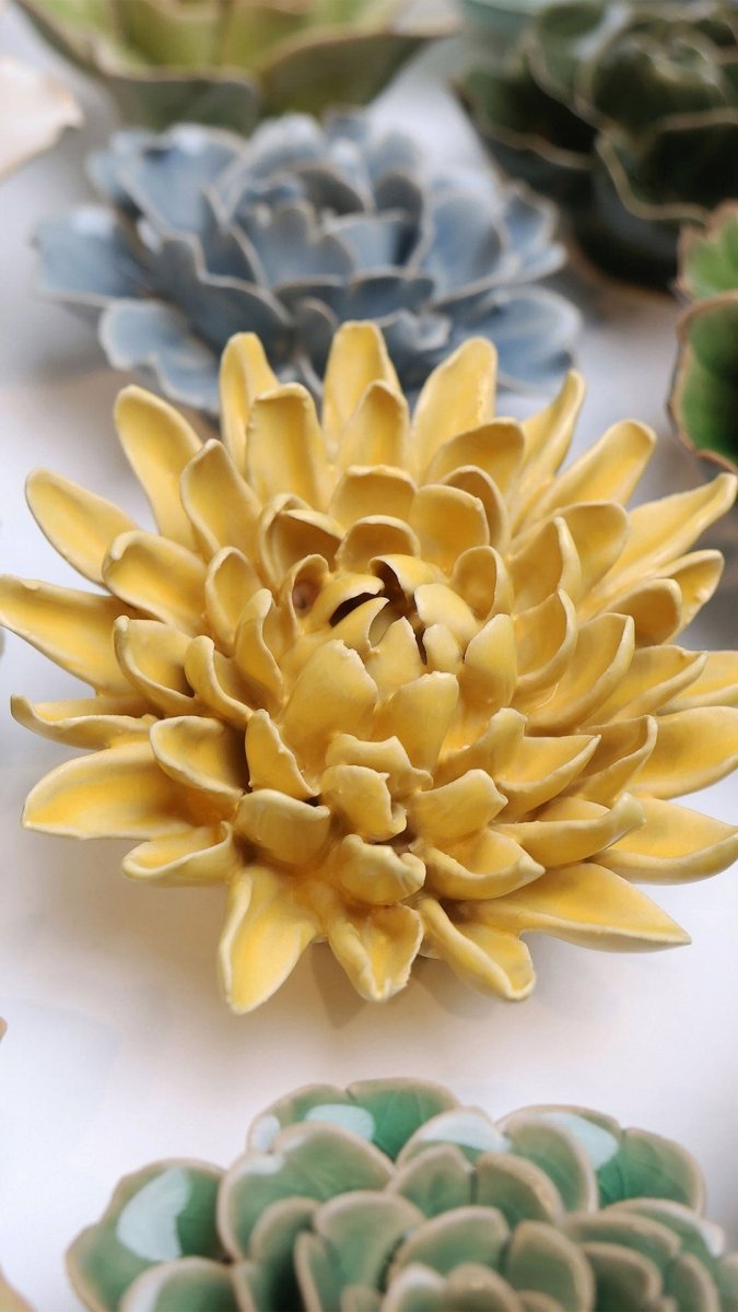 EG13 Buttercup Yellow Chrysanthemum - Chive US Wholesale