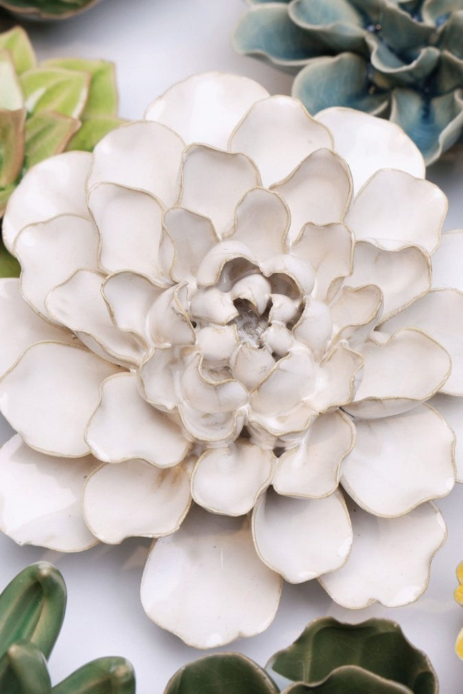 EG15 Ivory European Water Lily - Chive US Wholesale