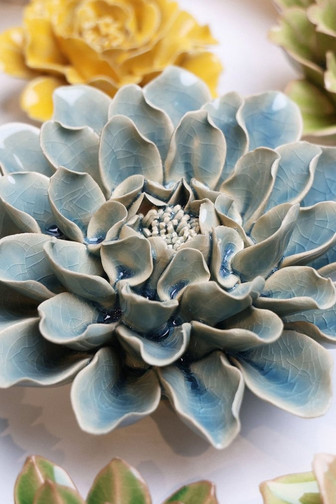 EG17 Powder Blue Aphrodite Dahlia - Chive US Wholesale