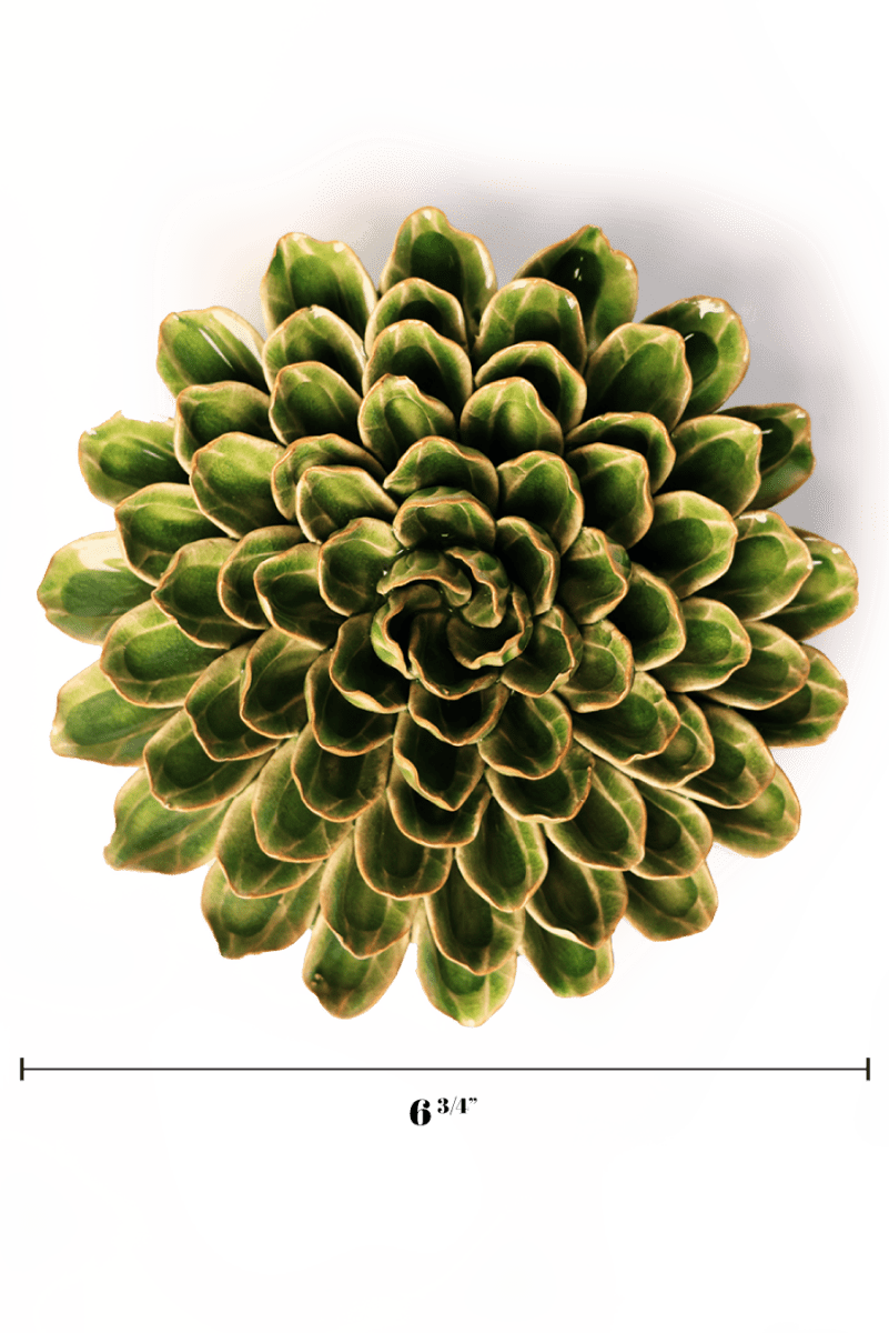 EG20 Avocado Green Unicorn Zinnia - Chive US Wholesale