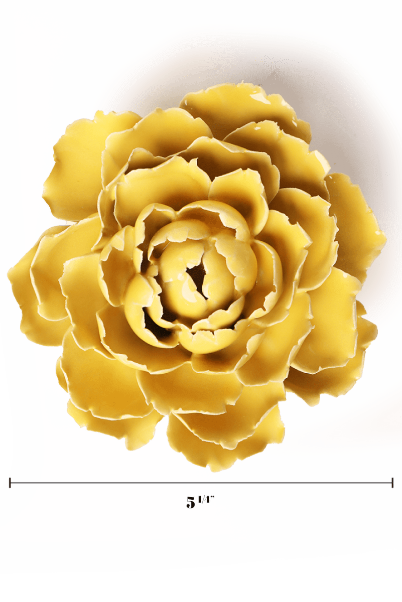 EG21 Buttercup Yellow Gay Paree Peony - Chive US Wholesale