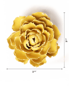 EG21 Buttercup Yellow Gay Paree Peony - Chive US Wholesale