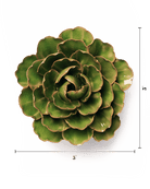 EG22 Avocado Green Keiko Peony - Chive US Wholesale