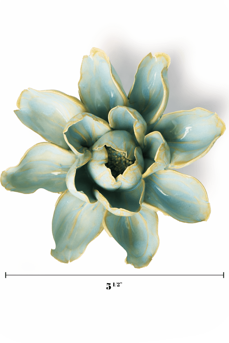 EG24 Robin's Egg Blue Aurora Water Lily - Chive US Wholesale