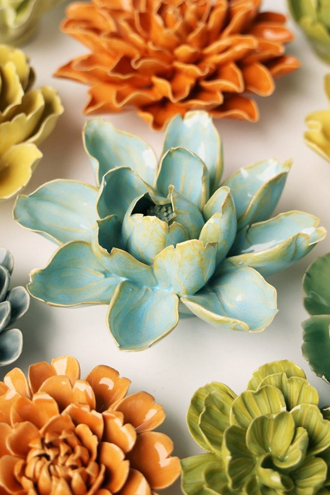 EG24 Robin's Egg Blue Aurora Water Lily - Chive US Wholesale