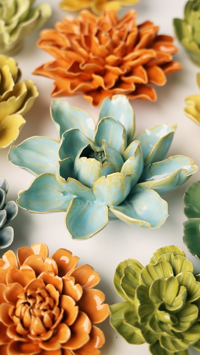 EG24 Robin's Egg Blue Aurora Water Lily - Chive US Wholesale