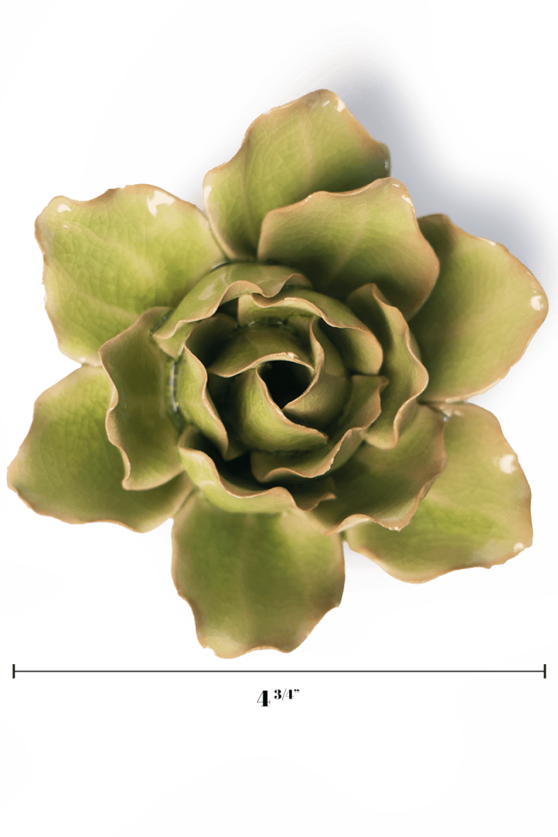 EG25 Peridot Stargazer Lily - Chive US Wholesale