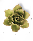 EG25 Peridot Stargazer Lily - Chive US Wholesale