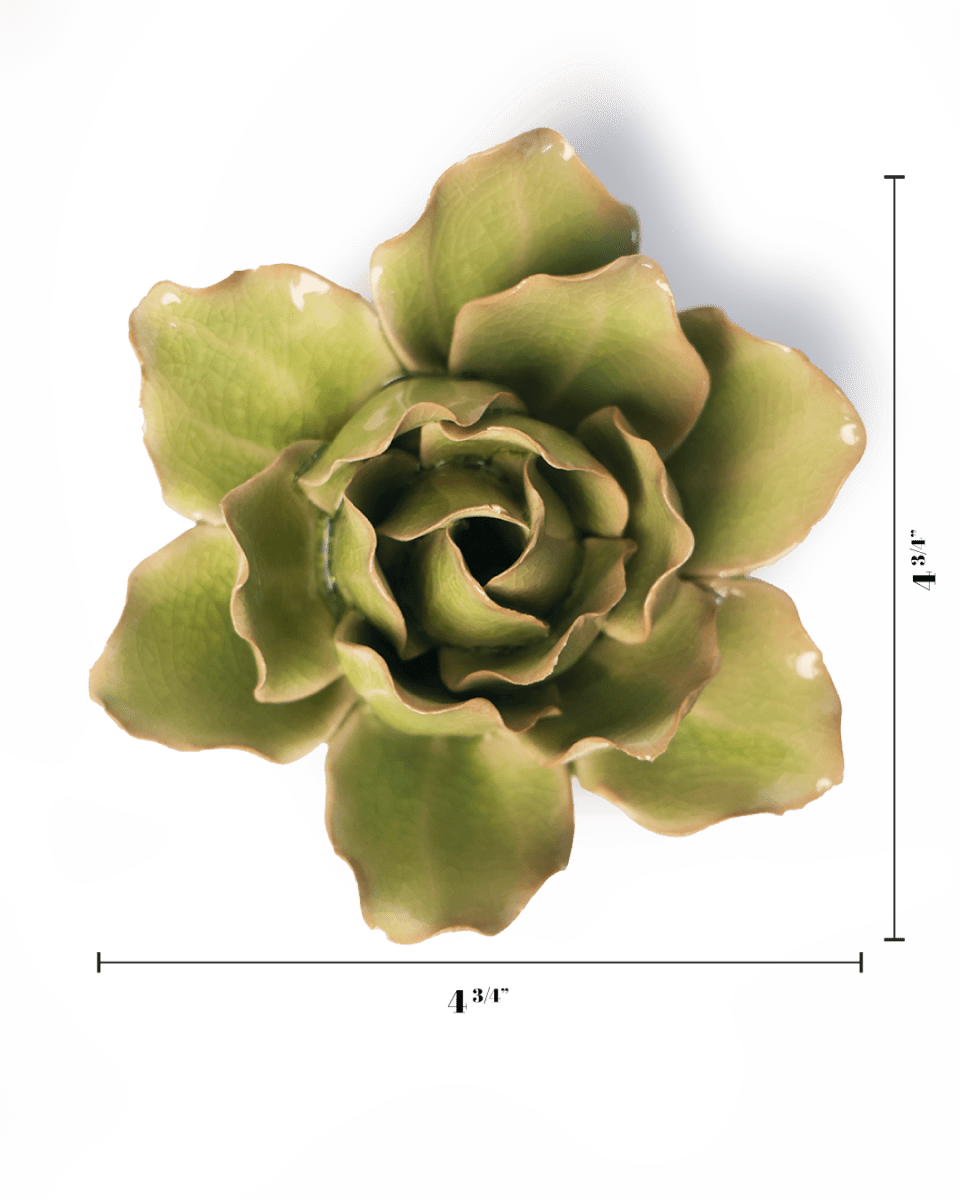 EG25 Peridot Stargazer Lily - Chive US Wholesale