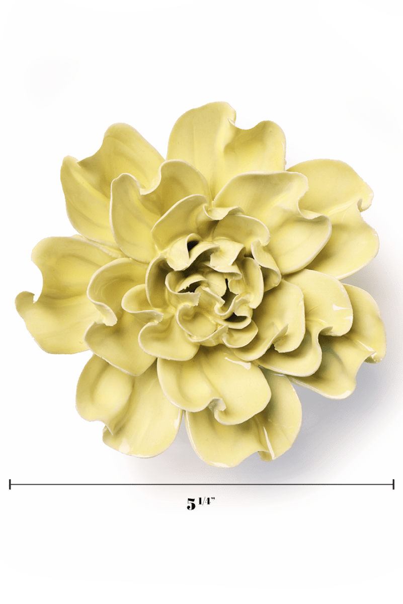 EG26 Lime Yellow Larkspur - Chive US Wholesale