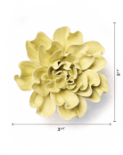 EG26 Lime Yellow Larkspur - Chive US Wholesale