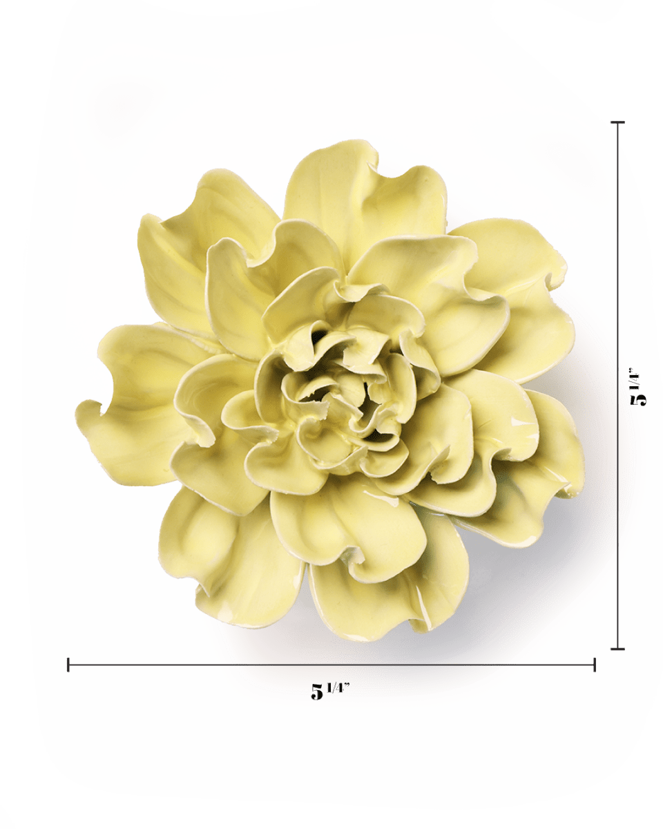 EG26 Lime Yellow Larkspur - Chive US Wholesale