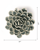 EG29 Pewter Blue Zinderella Zinnia - Chive US Wholesale