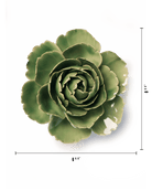 EG30 Jade Green English Rose - Chive US Wholesale