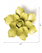 EG32 Chartreuse Columbine - Chive US Wholesale