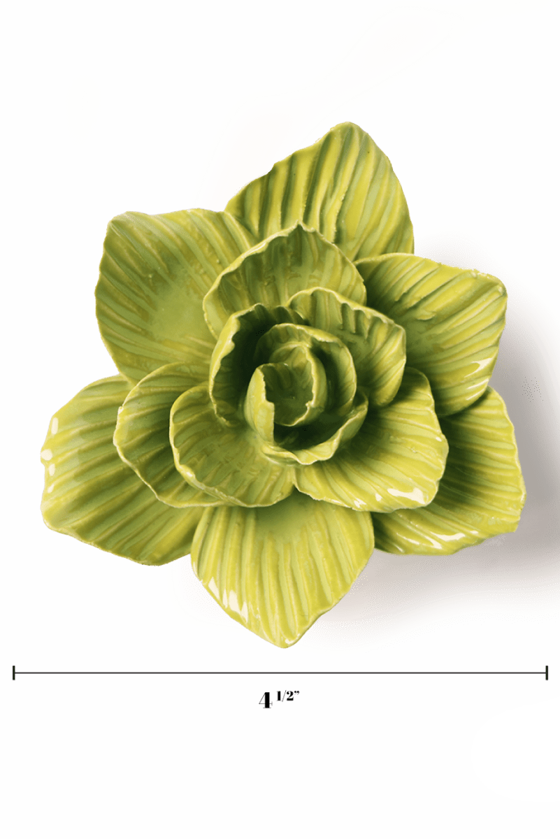 EG33 Chartreuse Gladiolus - Chive US Wholesale