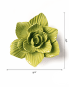 EG33 Chartreuse Gladiolus - Chive US Wholesale