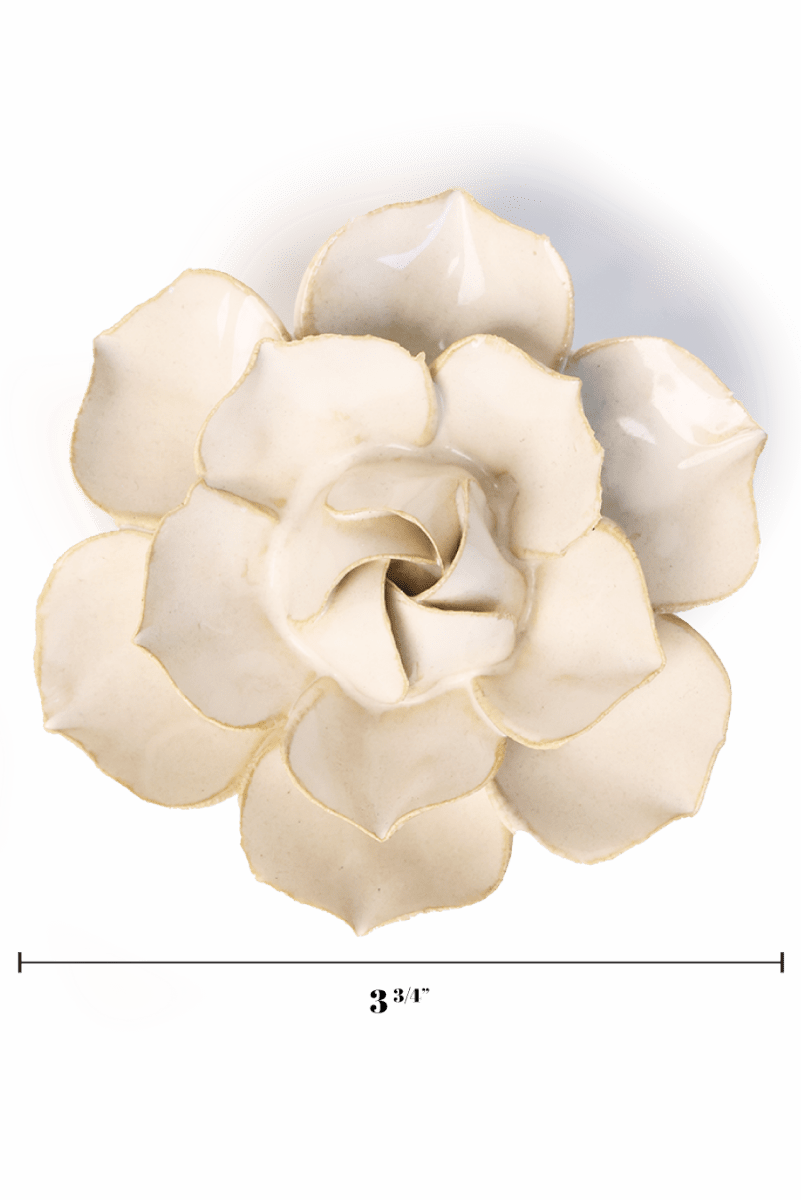 EG34 Ivory Daffodil - Chive US Wholesale