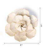 EG34 Ivory Daffodil - Chive US Wholesale