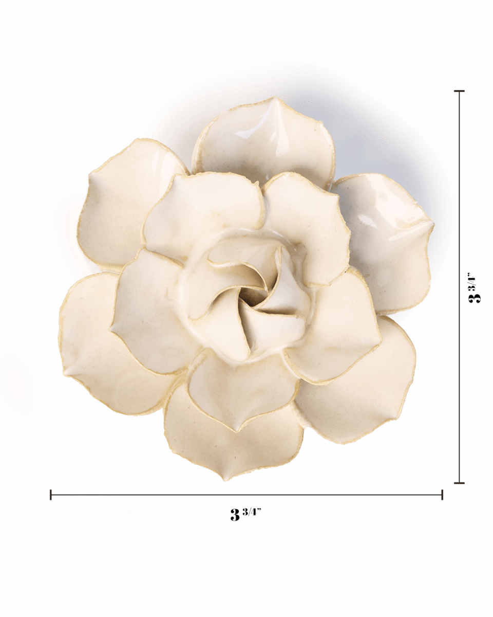 EG34 Ivory Daffodil - Chive US Wholesale