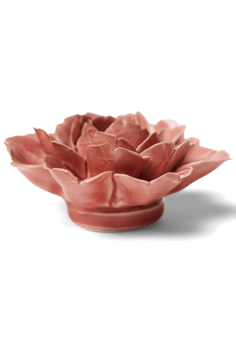 EG37 Champagne Pink Rose - Chive US Wholesale