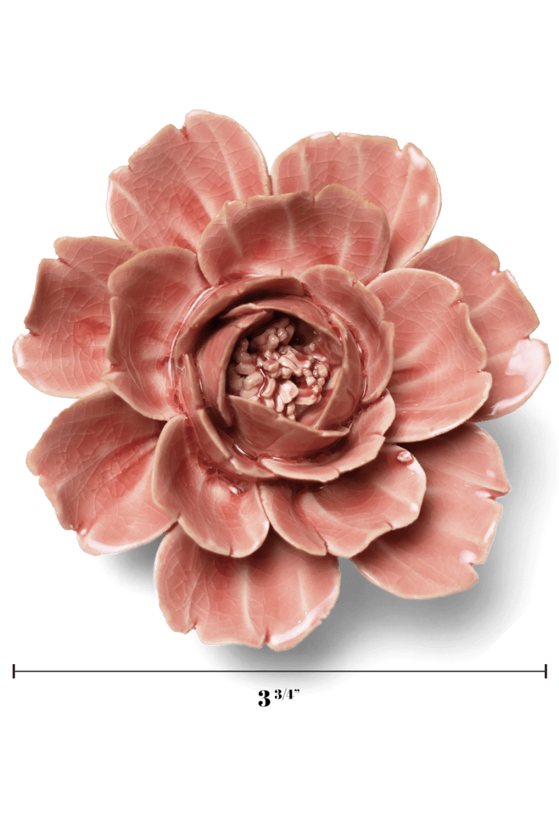 English Garden 37 Champagne Pink Rose - Chive US Wholesale