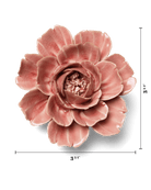 English Garden 37 Champagne Pink Rose - Chive US Wholesale