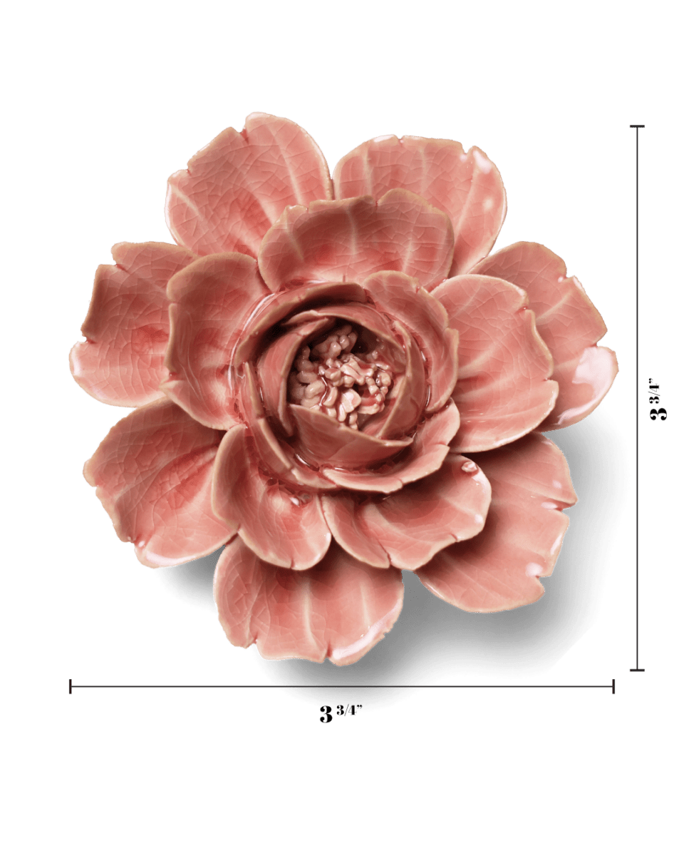 English Garden 37 Champagne Pink Rose - Chive US Wholesale
