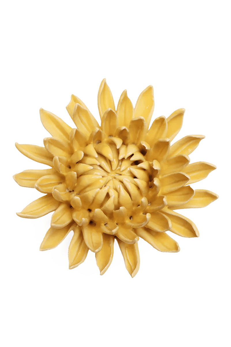 November Birth Flower - Chrysanthemum - Chive US Wholesale