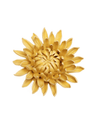 November Birth Flower - Chrysanthemum - Chive US Wholesale