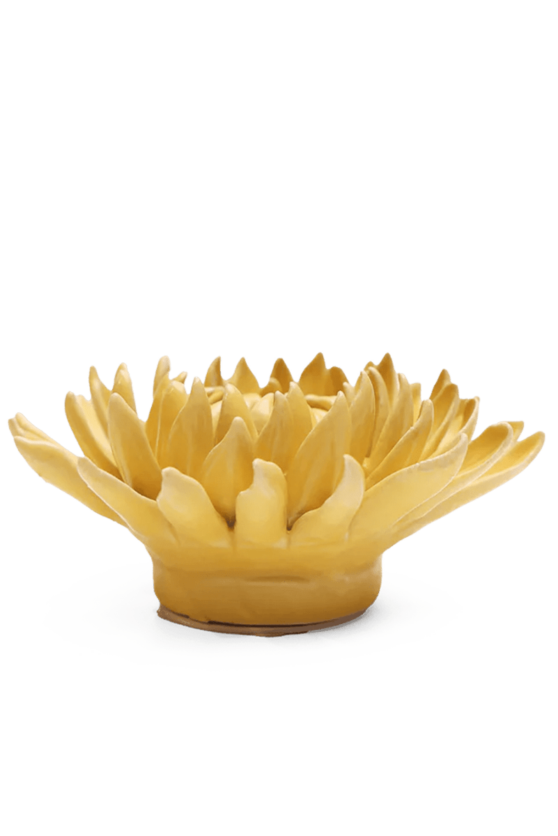 November Birth Flower - Chrysanthemum - Chive US Wholesale