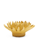 November Birth Flower - Chrysanthemum - Chive US Wholesale