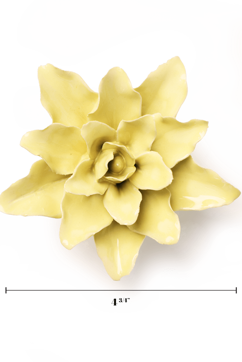 EG39 Lime Yellow Tiger Lily - Chive US Wholesale