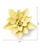 EG39 Lime Yellow Tiger Lily - Chive US Wholesale