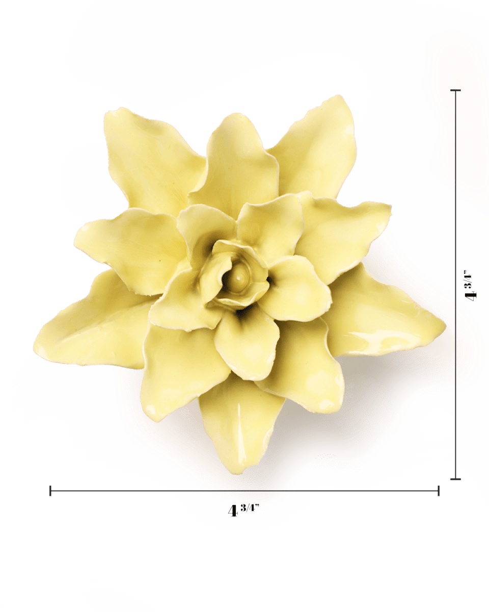 EG39 Lime Yellow Tiger Lily - Chive US Wholesale