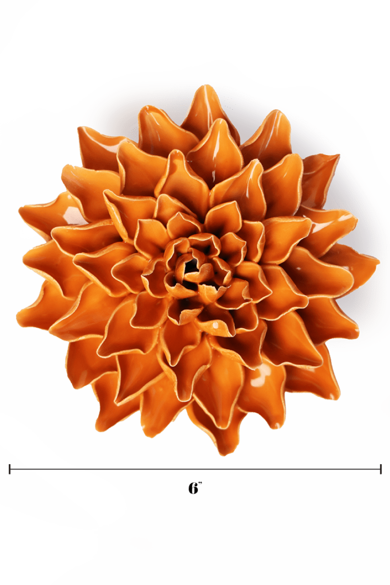 EG40 Orange Autumn Azalea - Chive US Wholesale