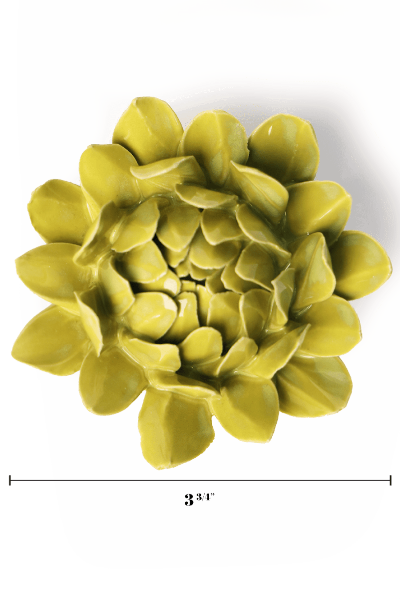 EG41 Chartreuse Sugarbush Protea - Chive US Wholesale